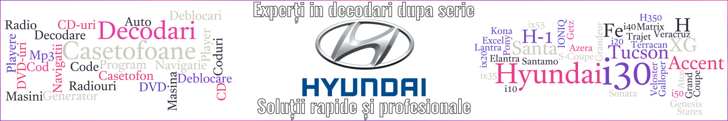 experti decodari casetofoane navigtii auto hyundai