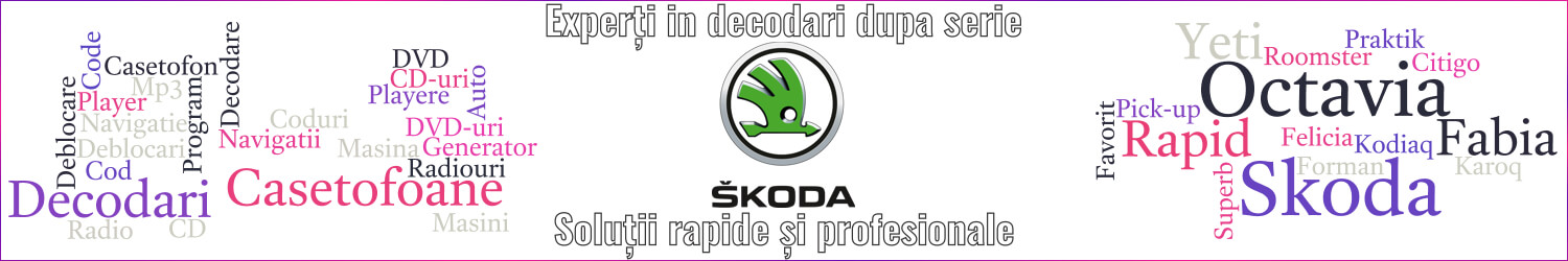 experti decodari casetofoane navigtii auto skoda